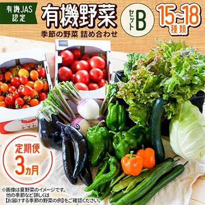 【毎月定期便】【有機JAS認定】有機野菜セットB 季節の野菜 詰め合わせ(15～18種類)全3回