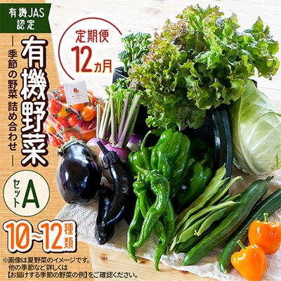 【毎月定期便】【有機JAS認定】有機野菜セットA 季節の野菜 詰め合わせ(10～12種類)全12回