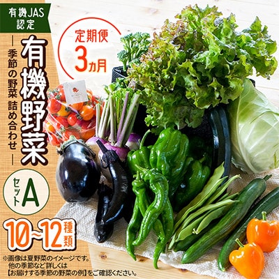 【毎月定期便】【有機JAS認定】有機野菜セットA 季節の野菜 詰め合わせ(10～12種類)全3回