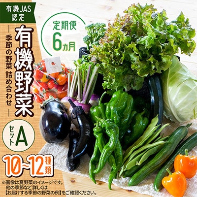 【毎月定期便】【有機JAS認定】有機野菜セットA 季節の野菜 詰め合わせ(10～12種類)全6回