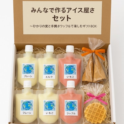 みんなで作るアイス屋さんセット ひかりの実アイス 100g×6個