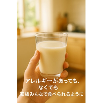 みんなで作るアイス屋さんセット ひかりの実アイス 100g×6個