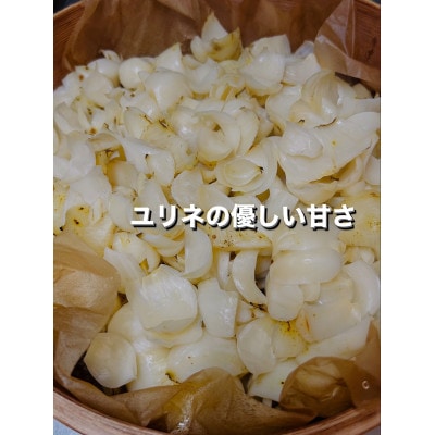 みんなで作るアイス屋さんセット ひかりの実アイス 100g×6個