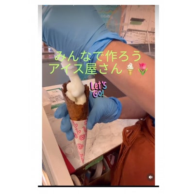 みんなで作るアイス屋さんセット ひかりの実アイス 100g×10個