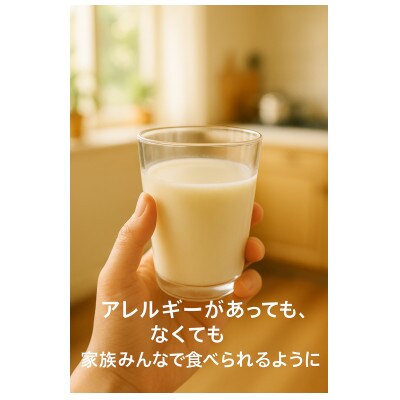 みんなで作るアイス屋さんセット ひかりの実アイス 100g×10個