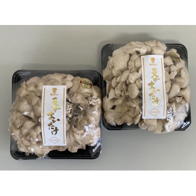 北海道厚沢部町産　大株えぞまいたけ　400g×2個