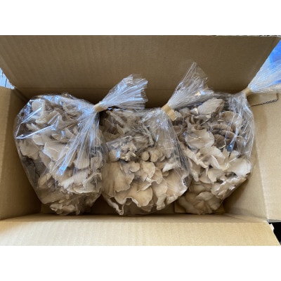 北海道厚沢部町産　ご家庭用えぞまいたけ(バラタイプ)350g×3個