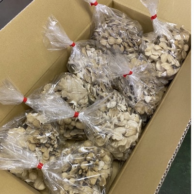 北海道厚沢部町産　業務用えぞまいたけ(バラタイプ)500g×8個