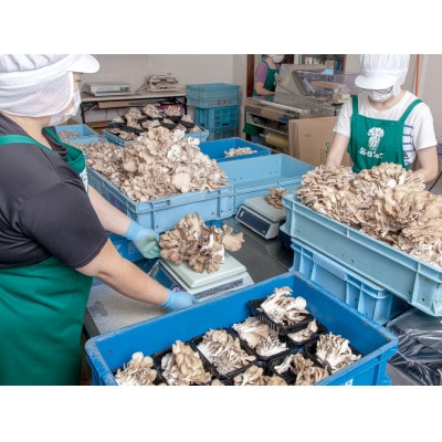 北海道厚沢部町産　業務用えぞまいたけ(バラタイプ)500g×8個