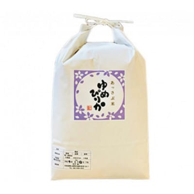 【令和7年産】北海道厚沢部産ゆめぴりか5kg