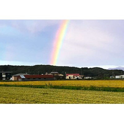 【令和7年産】北海道厚沢部産ななつぼし5kg