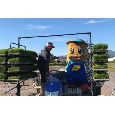 【令和7年産】北海道厚沢部産ななつぼし10kg(5kg×2袋)