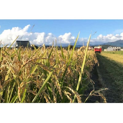 【令和7年産】北海道厚沢部産ななつぼし15kg(5kg×3袋)