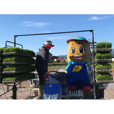 【令和7年産】北海道厚沢部産ふっくりんこ10kg(5kg×2袋)