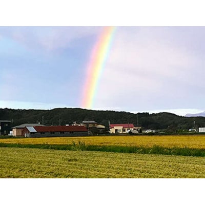 【毎月定期便】北海道厚沢部産ななつぼし15kg(5kg×3袋)全3回