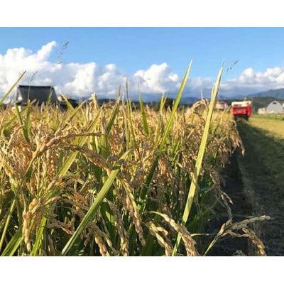 【毎月定期便】北海道厚沢部産ななつぼし30kg(5kg×6袋)全3回