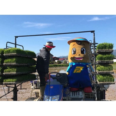 【毎月定期便】北海道厚沢部産ゆめぴりか20kg(5kg×4袋)全3回