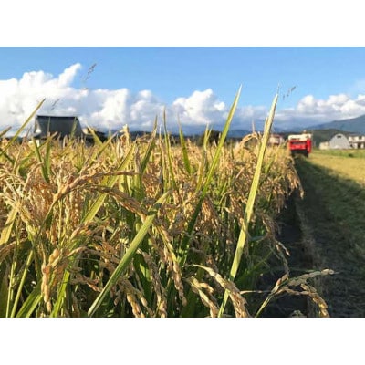 【毎月定期便】北海道厚沢部産ななつぼし5kg全3回