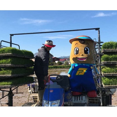 【毎月定期便】北海道厚沢部産ななつぼし20kg(5kg×4袋)全3回