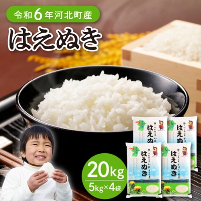 【令和6年産米】2025年3月下旬発送 はえぬき20kg 山形県産 【JAさがえ西村山】