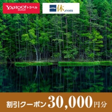 【長野県茅野市】一休.com・Yahoo!トラベル割引クーポン(30,000円分)