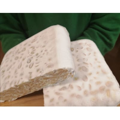 はじめてのテンペ作りセット　材料4回分(テンペ菌と脱皮大豆) +簡単テンペメーカー贈呈