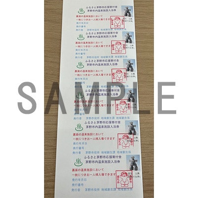 市内温泉施設利用券12枚×2セット
