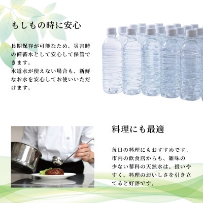 【2ヵ月毎定期便】蓼科の天然水ラベルレスボトル 500ml×24本 長野県茅野市からお届け全3回