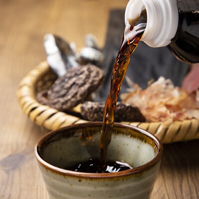 渡辺製麺 信州わたなべのそばつゆ 500ml×12本 2倍濃縮 常温 信州八ヶ岳よりお届け