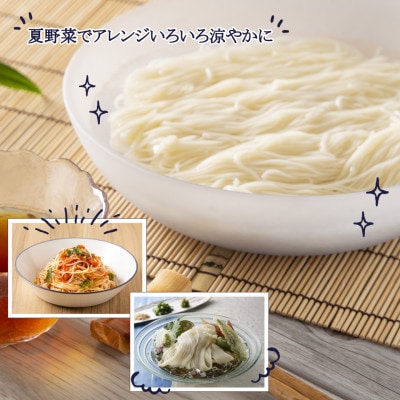 そうめん40食 1袋250g2人前×20袋(計5kg)信州八ヶ岳よりお届け