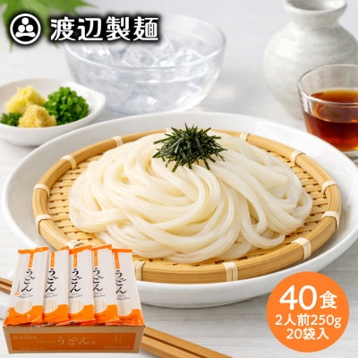 うどん40食 1袋250g2人前×20袋(計5kg)乾麺 信州八ヶ岳よりお届け
