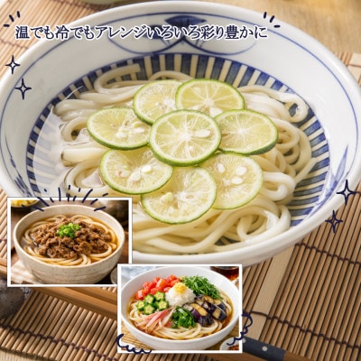 うどん40食・そば40食(合計80食・9.6kg)乾麺セット 信州八ヶ岳よりお届け
