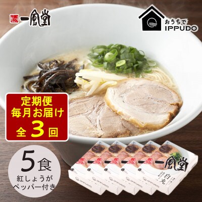【毎月定期便】一風堂 豚骨ラーメン白丸1食箱×5箱 とんこつ 博多細麺 紅しょうがペッパー付全3回