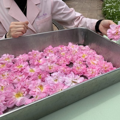 蓼科高原からお届けするローズボディソープ【薔薇の香りでリッチなバスタイム!】
