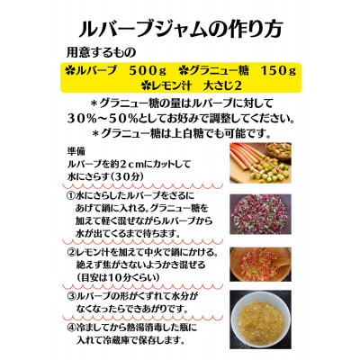 【八ヶ岳山麓★茅野市産】朝採れ・新鮮な赤いルバーブ2Kg=手作りジャムにオススメ!