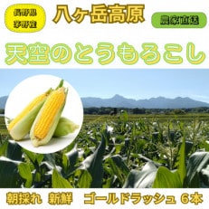 【八ヶ岳山麓・茅野市産】朝採れ★新鮮であまーい=とうもろこし 2L&times;6本=ゴールドラッシュ