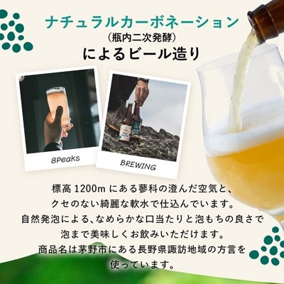 八ヶ岳山麓のクラフトビール　飲み比べ18本セット【BBQやパーティーに】【ご家族で】