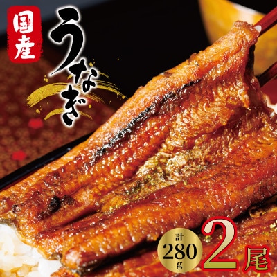 国産　うなぎ　2尾　真空パック