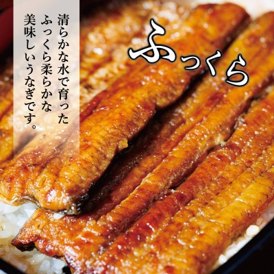 国産　うなぎ　2尾　真空パック