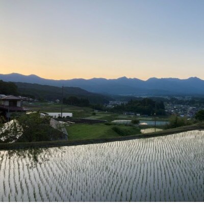 霧ヶ峰高原からの伏流水が育んだお米「信州茅野　米沢吉田米」精米 20kg(10kg×2個)