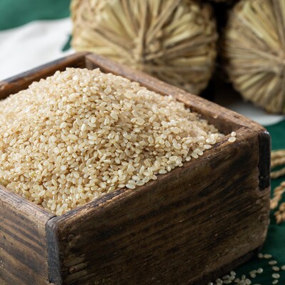 霧ヶ峰高原からの伏流水が育んだお米「信州茅野　米沢吉田米」玄米10kg(10kg×1個)