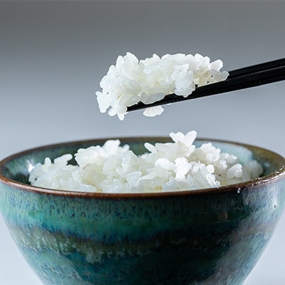 【毎月定期便】霧ヶ峰高原からの美しい伏流水が育んだお米「信州茅野 米沢吉田米」精米 5kg全2回