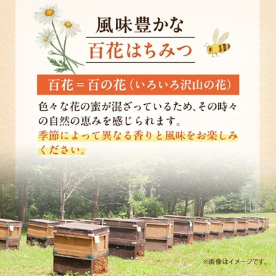 信州産アカシアはちみつ600g・百花はちみつ600gセット
