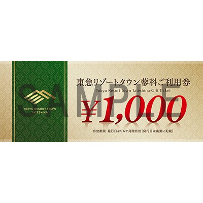 東急リゾートタウン蓼科利用券(1,000円分×9枚)2025年2月1日から6か月間有効チケット