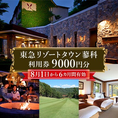 東急リゾートタウン蓼科利用券(1,000円分×9枚)2025年8月1日から6か月間有効チケット