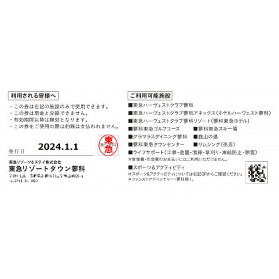 東急リゾートタウン蓼科利用券(1,000円分×9枚)2024年12月1日から6か月間有効チケット