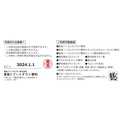 東急リゾートタウン蓼科利用券(1,000円分×9枚)2025年1月1日から6か月間有効チケット