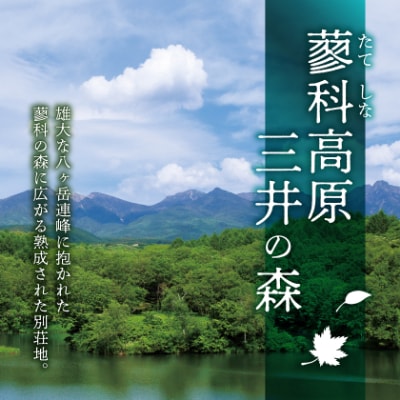 蓼科高原三井の森・蓼科高原いずみ平別荘地　別荘管理特定作業利用券9,000円分(1,000円×9枚)
