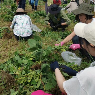 手づくりのくらしに触れる1年間の『旅』 信州八ヶ岳の麓から　一緒に!つなぐ　プロジェクト2025