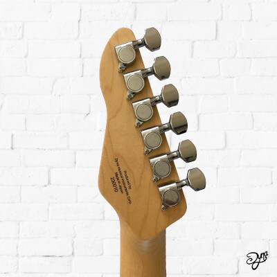 JA-STER Standard 3TS